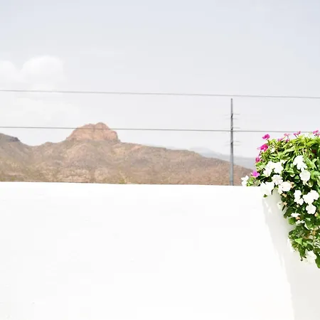 Neon Tenerife Guest house Guaza