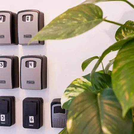 Vendégház Neon Tenerife